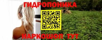 не бодяженный Лесосибирск