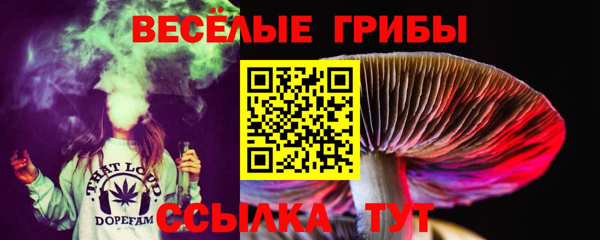 Верхняя Салда  Псилоцибиновые грибы Psilocybine cubensis  Вход с VPN 